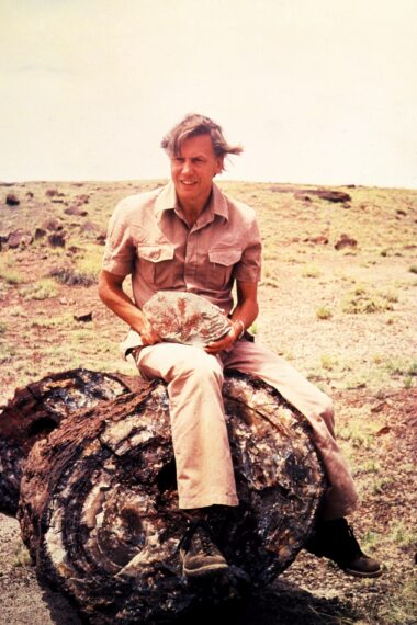 David Attenborough- LIFE ON EARTH_ ATTENBOROUGH'S LIFE ON EARTH (2)