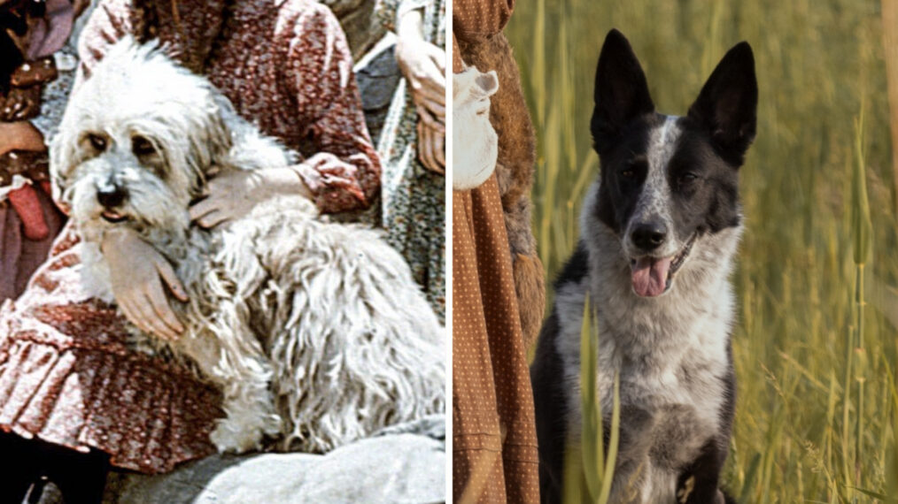 Little House on the Prairie. Alice Halsey as Laura Ingalls in episode 101 of Little House on the Prairie. Cr. Eric Zachanowich/Netflix © 2026; Little House onthe Prairie, Everett Collection