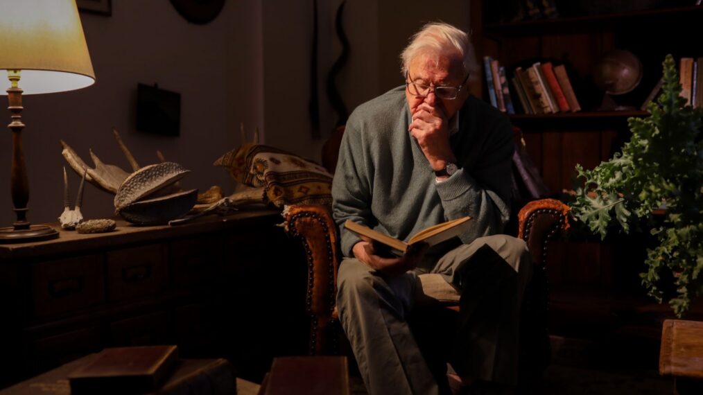 Sir David Attenborough in 'A Gorilla Story,' Netflix, April 17, 2026.