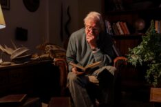 Sir David Attenborough in 'A Gorilla Story,' Netflix, April 17, 2026.