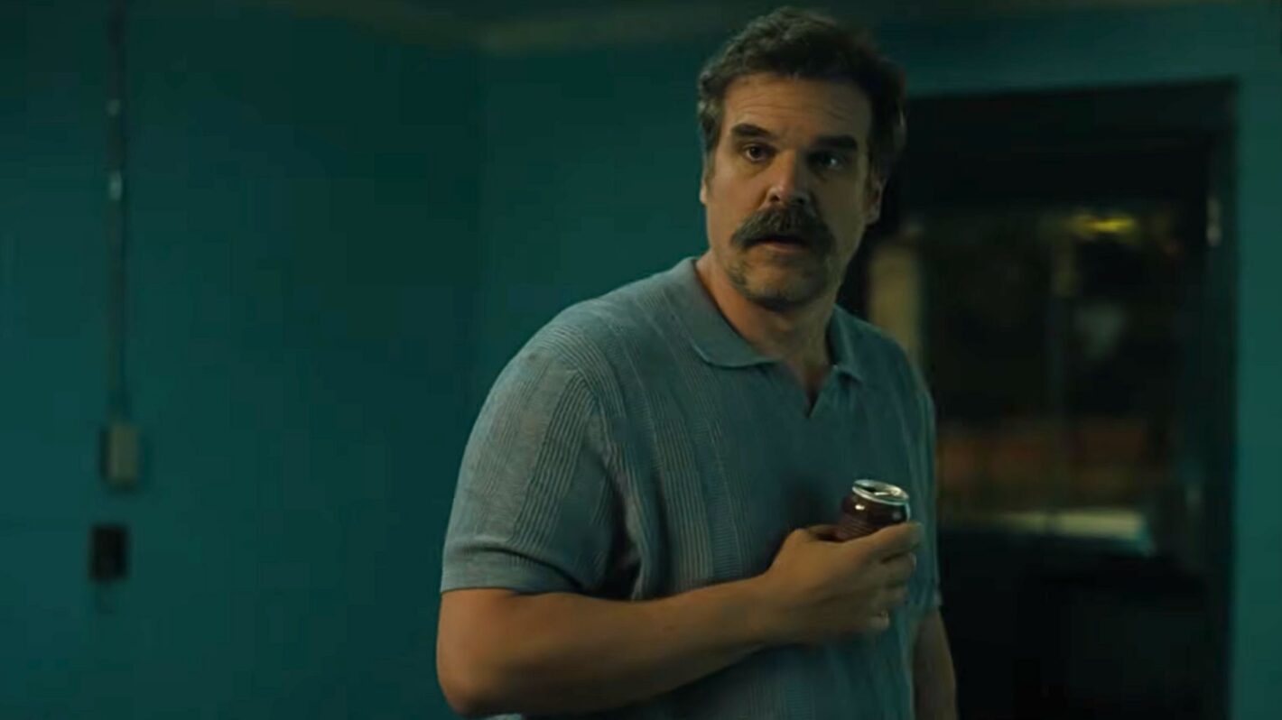 David Harbour in 'DTF St. Louis' finale