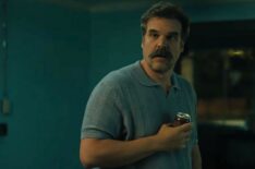 David Harbour in 'DTF St. Louis' finale
