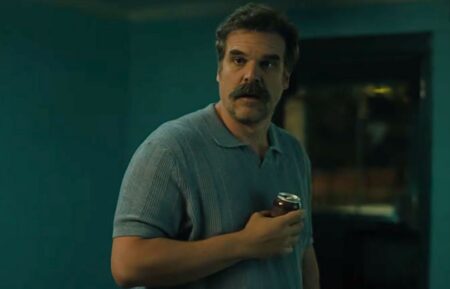 David Harbour in 'DTF St. Louis' finale