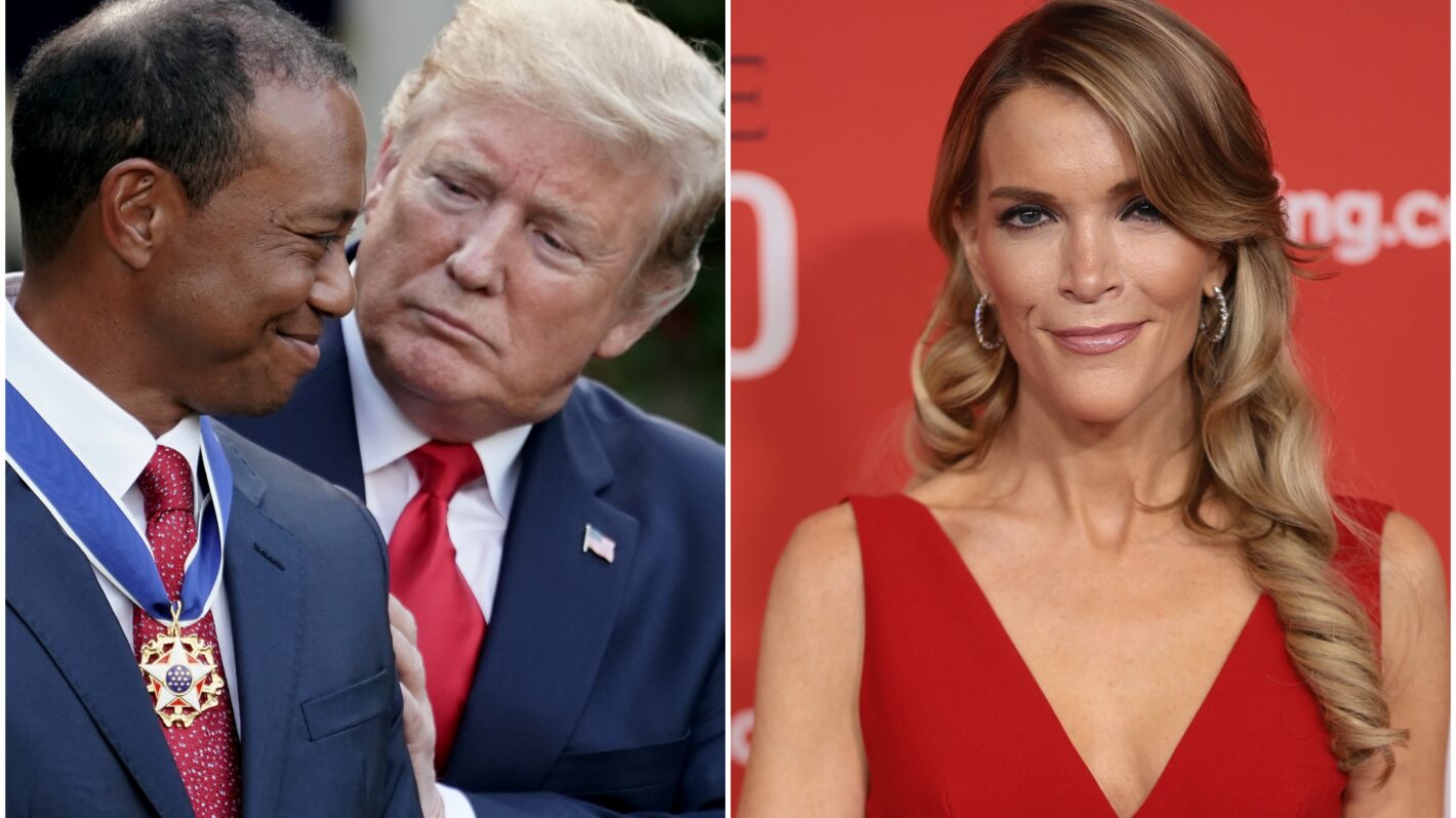 Megyn Kelly Blasts Tiger Woods Over Donald Trump Call During DUI Arrest
