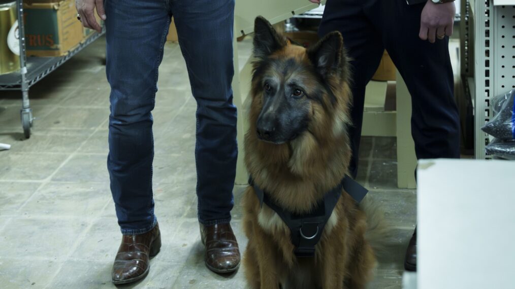 Kyle Schmid as Mike Franks and Caleb Foote as Bernard “Randy” Randolf — 'NCIS: Origins' Season 2 Episode 14 'The Beautiful Ballad of Gary Callahan'