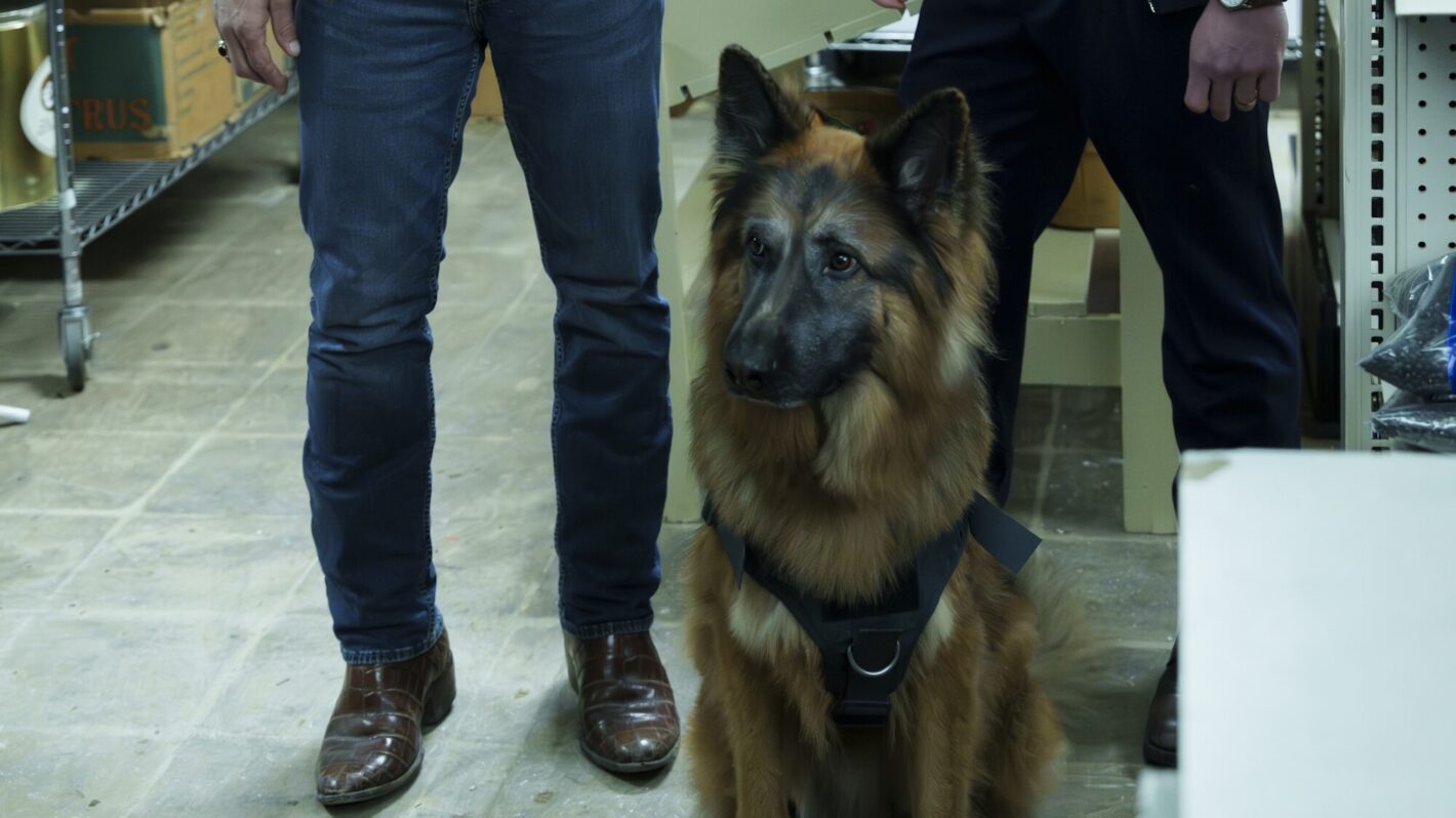 'NCIS: Origins': When Mike Franks Met Gary Callahan