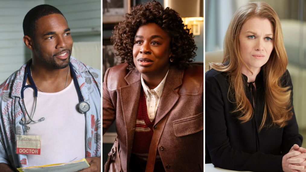 Jason George as Dr. Otis Cole in 'Off the Map,' Uzo Aduba as Cordelia Cupp in 'The Residence,' and Mireille Enos as Alice Vaughan in 'The Catch'