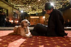 Ramy Youssef and dog Basha in 'Ramy Youssef: In Love'