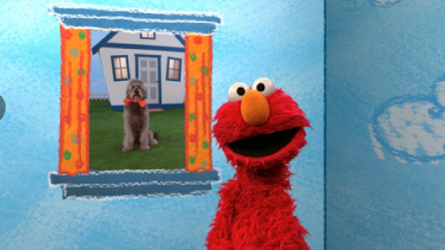 Fox News Is Mocked After Blasting ‘Sesame Street’ Episode Where Elmo Learns Arabic