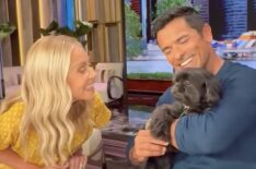 Kelly Ripa and Mark Consuelos with their dog, Lena, 'Live With Kelly and Mark' Instagram, June 30, 2025.