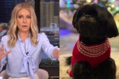 Kelly Ripa on the May 26, 2026, episode of 'Live With Kelly and Mark'; Kelly Ripa and Mark Consuelos' dog, Lena, Instagram, December 14, 2023.