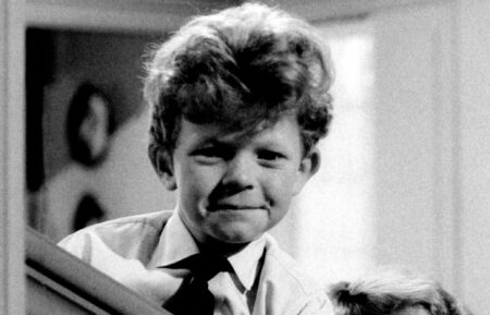 FAMILY AFFAIR, Johnny Whitaker
