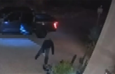 Man taking cacti from home in Catalina Hills, Arizona, on April 29, 2026