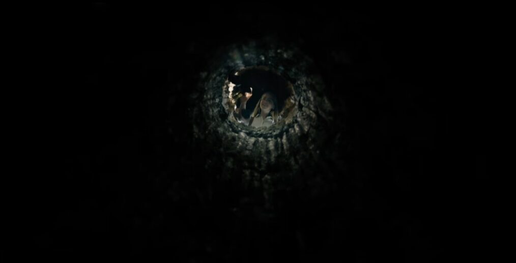 From Season 4 Episode 10 - When a Tree Falls... - Julia Doyle