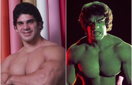 Lou Ferrigno, The Hulk