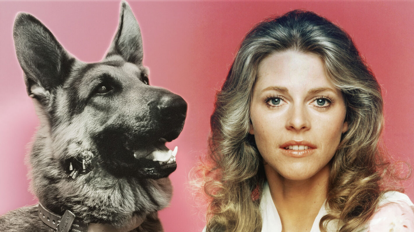 Bionic Woman and Dog
