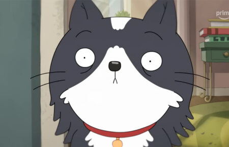 Kevin, the feline protagonist of the Prime Video animated comedy 'Kevin'