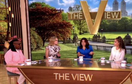 The View hosts