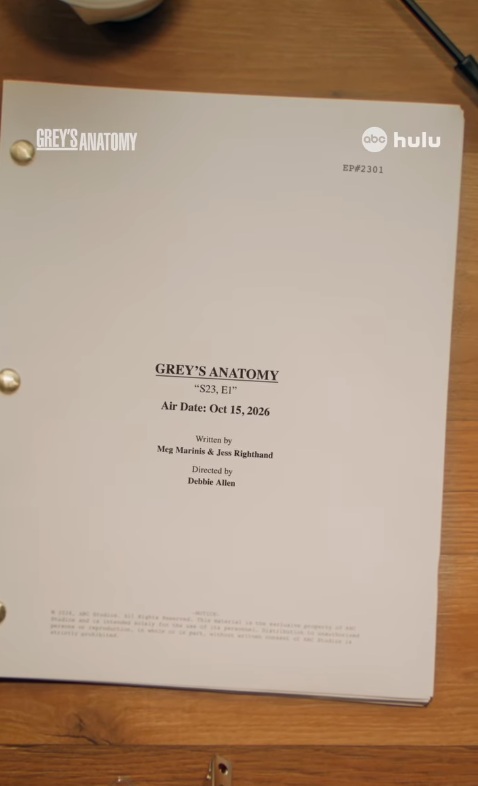 Grey's Anatomy Season 23 - From ABC