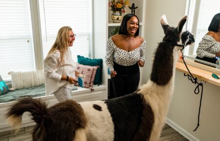 Susan and Noel grooming llama in new llama room
