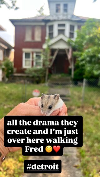 Nicole Curtis' Instagram Story, July 26, 2026.