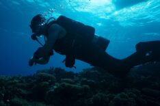Phil Torres, 'Expedition X: Atomic Sharks,' Shark Week special, Discovery Channel, premieres July 29, 2026.