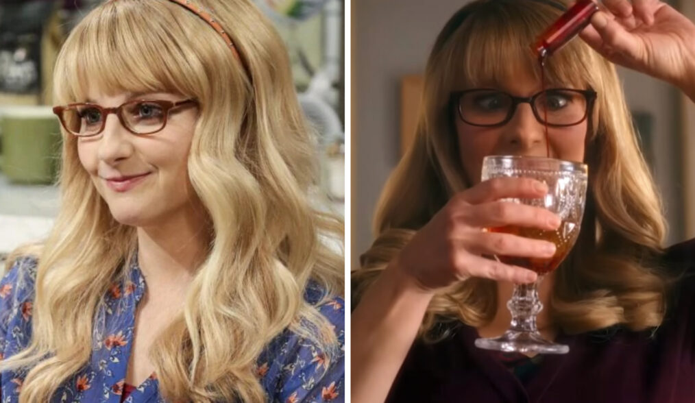 Big Bang Theory, Melissa Rauch, Staurt Fails to Save the Universe
