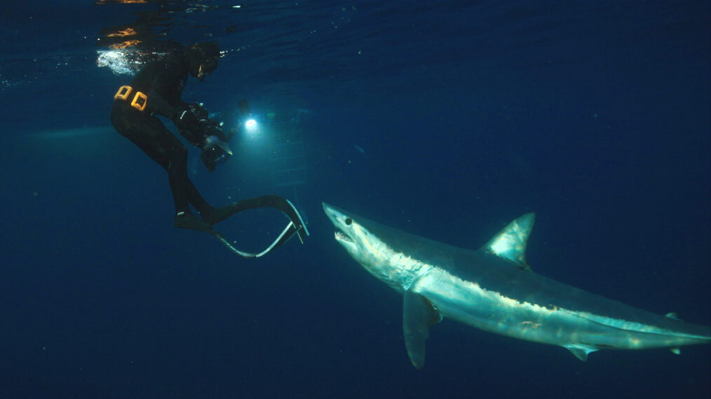 'Sharkzilla Takes New York,' Discovery Channel Shark Week special, premieres July 31, 2026.