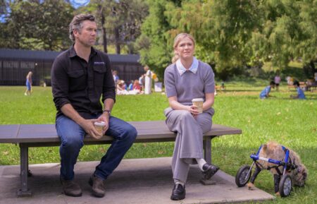 Patrick Brammall and Harriet Dyer in 'Colin From Accounts' Season 3