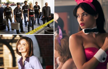 'CSI: Crime Scene Investigation,' 'The Playboy Club,' 'Ally McBeal'