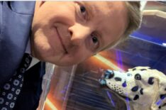 'Jeopardy!'s Ken Jennings Reveals He Has a 'Spirit Animal'  From 'Wheel of Fortune'