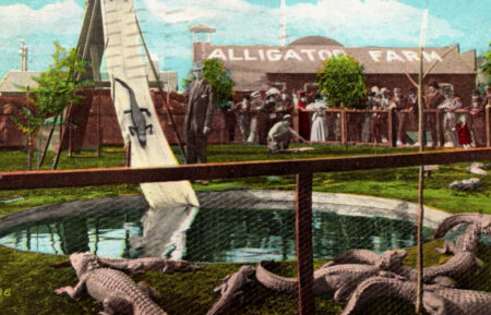 Alligator Farm Los Angeles