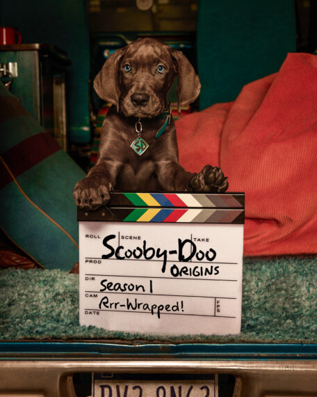 The dog who plays Scooby-Doo in "Scooby-Doo: Origins" standing next to a clapboard