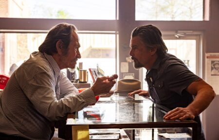 Tommy Lee Jones and Ethan Hawke in 'The Lowdown' Season 2