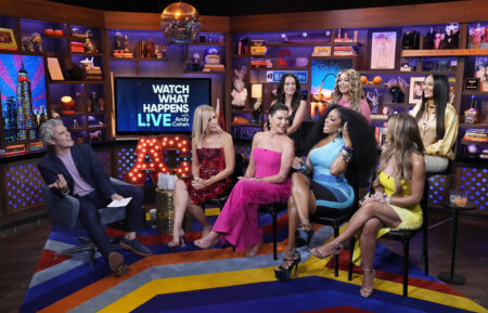 Andy Cohen, Vicki Gunvalson, Luann de Lesseps, Kyle Richards, Porsha Williams, Gizelle Bryant, Teresa Giudice, Lisa Barlow