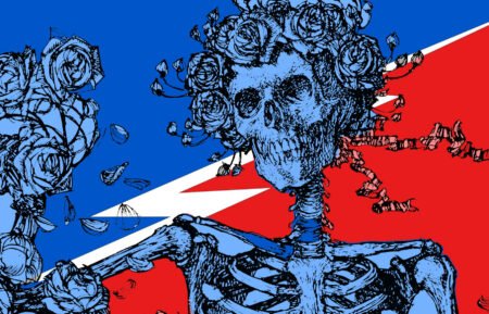 Grateful Dead Skull & Roses graphic