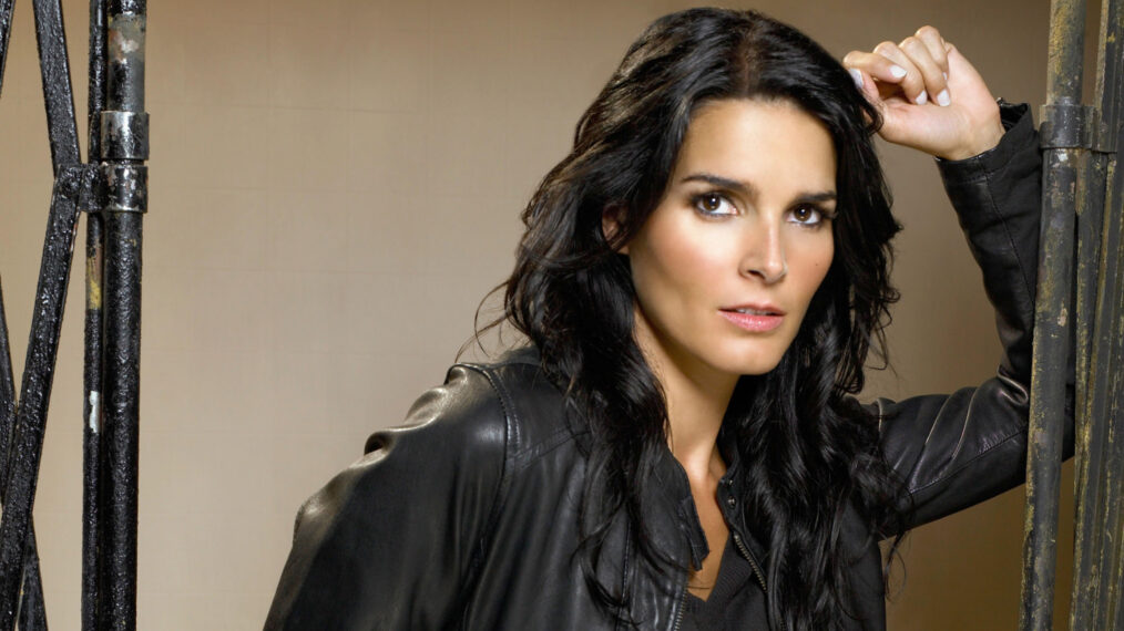 Angie Harmon of ‘Women’s Murder Club’