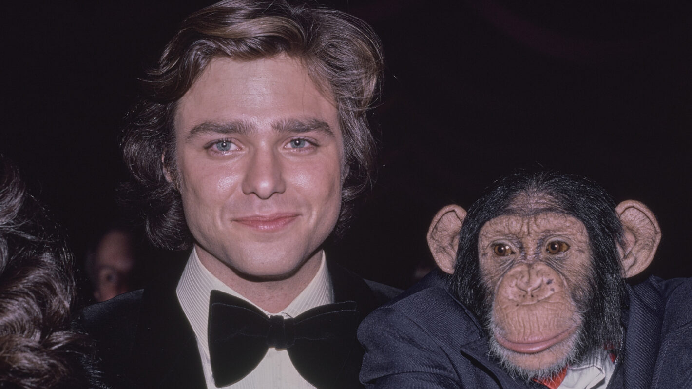 Greg Evigan Reveals Real Reason He Turned Down ‘Knight Rider’ Lead