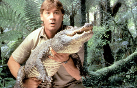 'Crocodile Hunter' star Steve Irwin