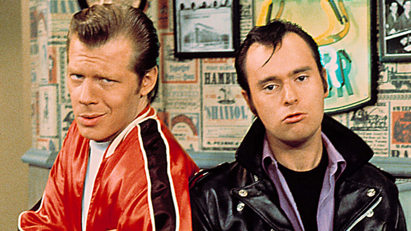 LAVERNE AND SHIRLEY, Michael McKean, David Lander, 1976-83