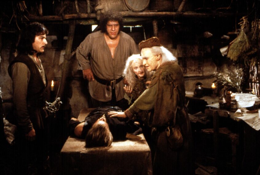 Mandy Patinkin, Andre the Giant, Cary Elwes, Carol Kane, Billy Crystal — 'The Princess Bride'