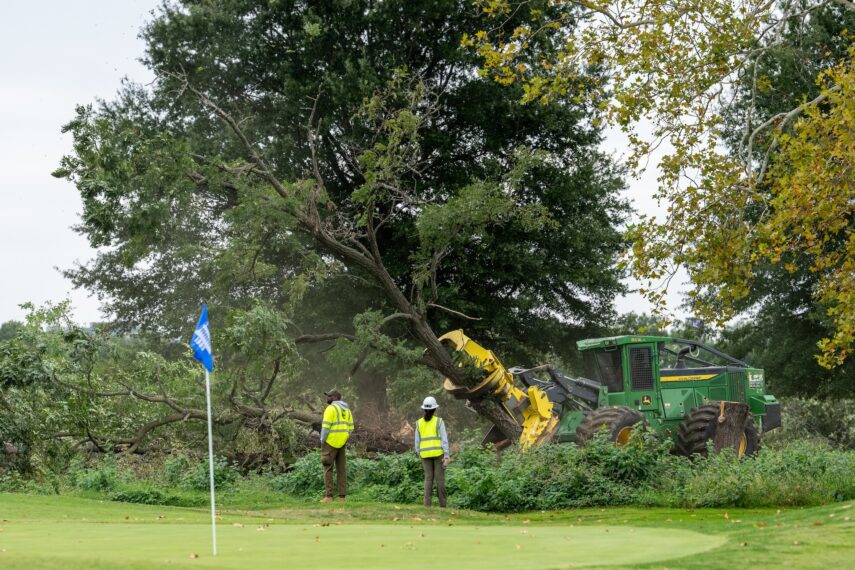 Crews cut down trees on East Potomac Golf Course