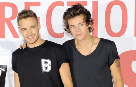 Liam Payne and Harry Styles attend a photo call to launch their film 'One Direction: This Is Us 3D' at Big Sky Studios on August 19, 2013, in London, England