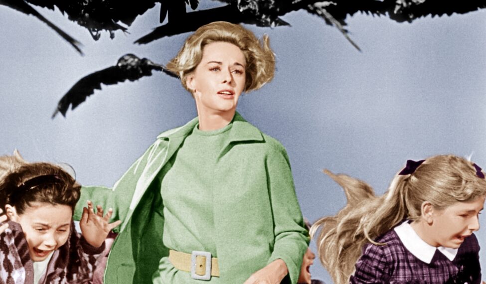 THE BIRDS, Tippi Hedren (center), 1963
