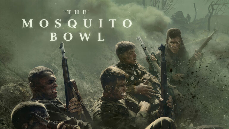 The Mosquito Bowl