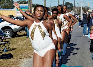 The Prancing Elites Project