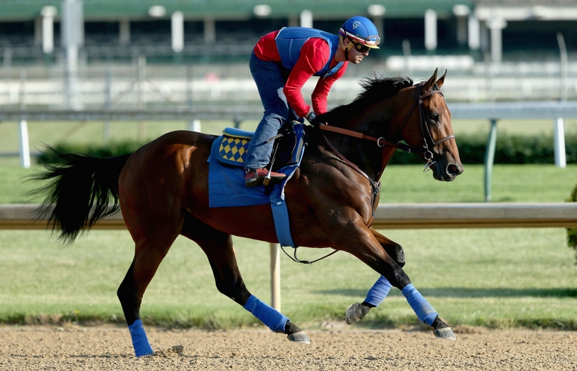 Belmont Stakes training